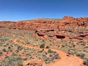 The Trail